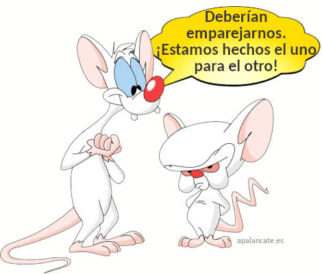pareja ratones