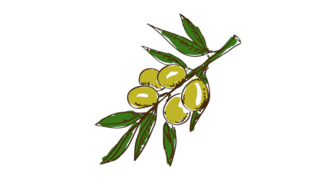 aceituna