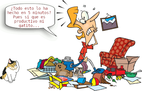 sofa  gato productividad