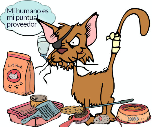 selección proveedores