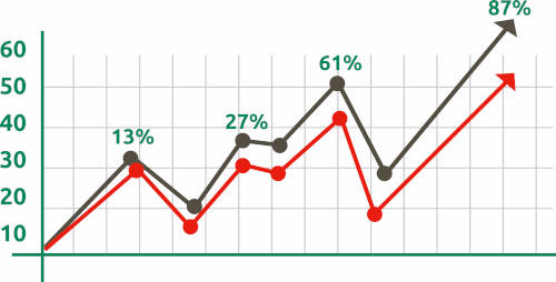 grafica capital social