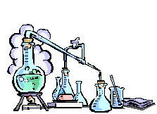 laboratorio capital social