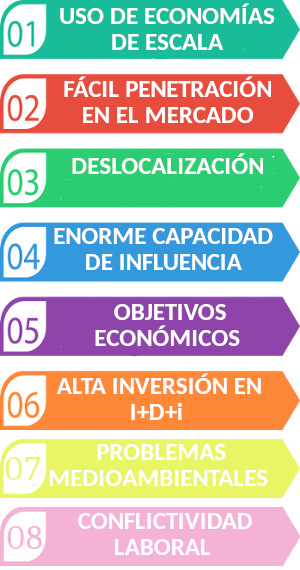 multinacionales características