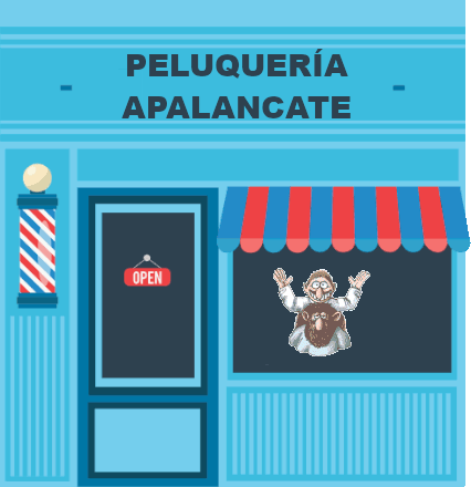 peluqueria plan