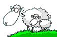 cada oveja con su pareja gif