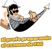 profe examen fag