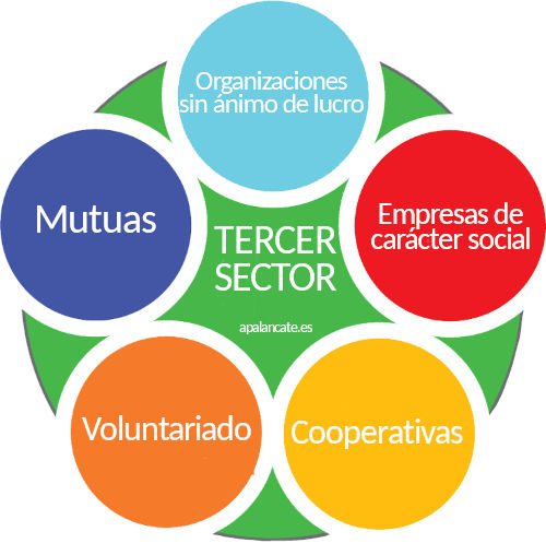 tercer sector infografía