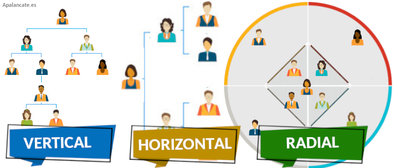 organigrama vertical horizontal radial 