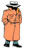 ampliacion ilegal capital